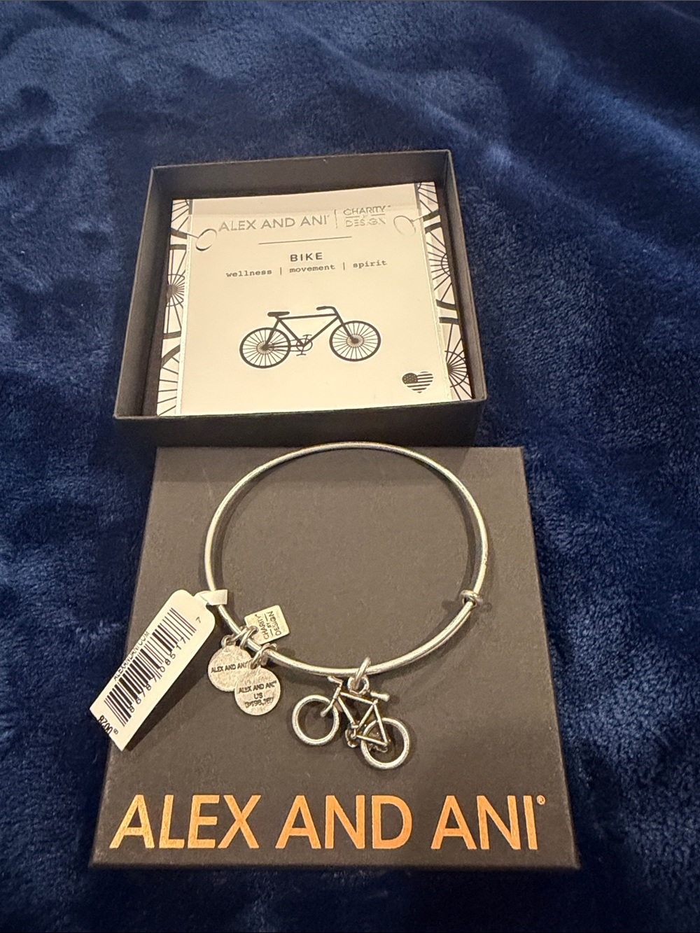 Alex and Ani Silver Bike Charm Bangle in Metallic Silver